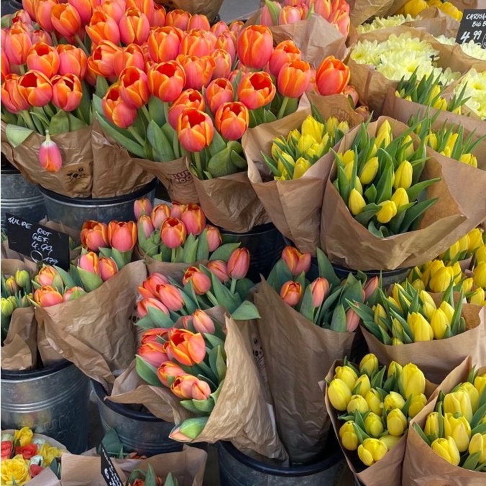 Meet your Posher, Celine